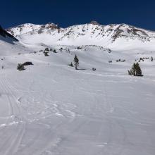 Looking up Old Ski Bowl