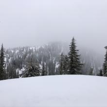 Looking east toward Gray Butte 