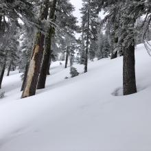 West aspect of Gray Butte