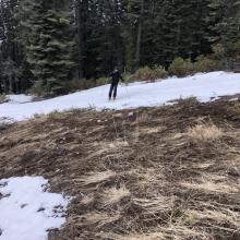 Large dirt patch encountered on the way back to the ski park.  