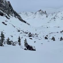 Near treeline, looking up into Old Ski Bowl