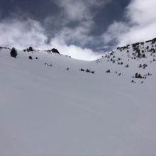 Snow surfaces near treeline in Giddy Giddy Gulch