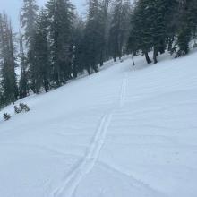 Skin track and rain runnels below treeline. Ski pen: ~1-5 inches