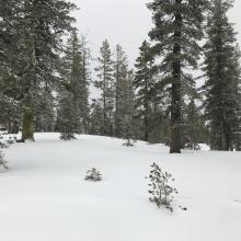 Skiing into the lake