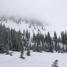 Gray Butte, west face