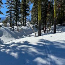 Below treeline, east bowl