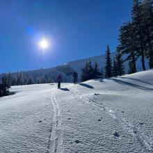 Near treeline, east bowl