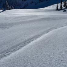 Snow surfaces, near treeline. Smooth, but crusty