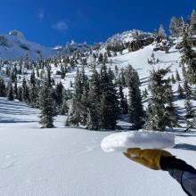 Snow surfaces, near treeline. Smooth, but crusty