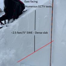 Pit on an east aspect, 8k ft, weak layer highlighted by red line with thick, hard slab on top