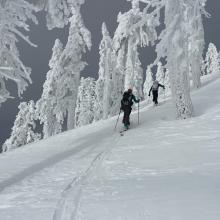 Near the summit of Gray Butte