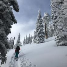 Gray Butte