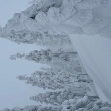 We just can't get enough of these rime plastered trees