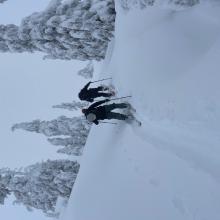 Ski pen / skin track example near treeline