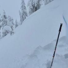 Fairly recent avalanche on the west face of Gray Butte, 2-3 ft crown, ~200 feet wide, ran full path down into trees