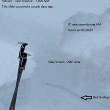 Fairly recent avalanche on the west face of Gray Butte