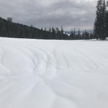 Below treeline rain runnels