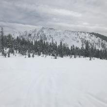 Near treeline, a look over at Gray Butte