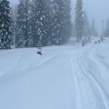 Powerline ditch bangin'. Its an arduous trek to Old Ski Bowl in current conditions