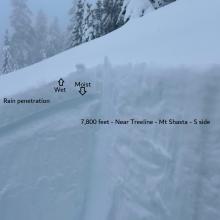 Wet to moist snow in the top 20 cm of the snowpack at 7,800 feet on the south side of Mount Shasta