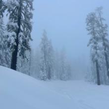 Everitt Memorial Hwy just below Old Ski Bowl