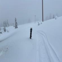 Tree top snapped off and skewered the snow, for the win!