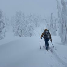 The snowpocalypse