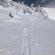 wind loading quickly filling in recent tracks above treeline