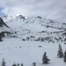 Looking up into the Old Ski Bowl from treeline