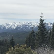 Trinity Mountains
