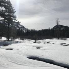 Lower Deadfall Meadows 