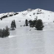 Lower section of Sargents Spur ridge