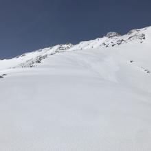 Heading up Sargents Spur ridgeline