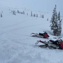 Old Ski Bowl, near treeline, 8k ft