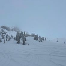 Old Ski Bowl, near treeline, 8k ft