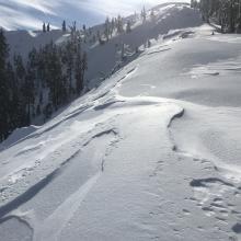 12/19 ice crust now exposed along ridgelines due to strong NW winds