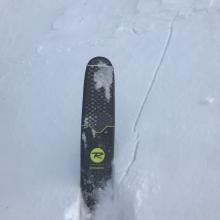 Shooting crack near treeline, a sign of wind slab avalanche danger