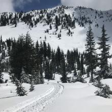 Gray Butte, viewed from bottom of its west face