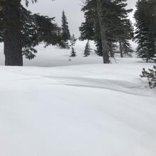 Wind sculpted snow with scoured patch near treeline on Gray Butte