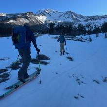 Skinning up Avalanche Gulch