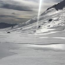 Above treeline 