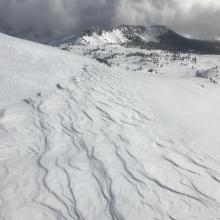 Above treeline wind scouring 