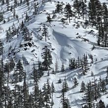 Slabs on a northwesterly facing slope, below treeline