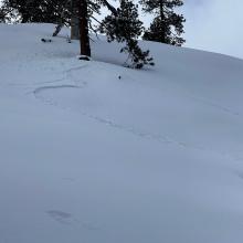 Small, shallow slab avalanche, easterly facing