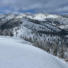 Terrain near treeline, not much wind today.