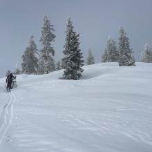 Near treeline on Gray Butte