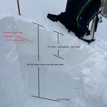 Snowpit, east facing, 7,900 feet, Gray Butte, 3.10.23