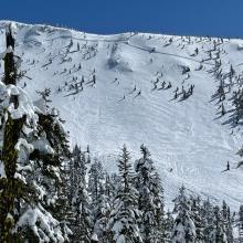 West face Gray Butte avalanche