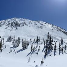 West face Gray Butte avalanche