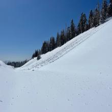 Roller balls below treeline, southeast facing slope